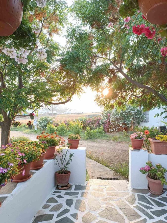 הוילה Naxos City Ktima Dimitrios מראה חיצוני תמונה