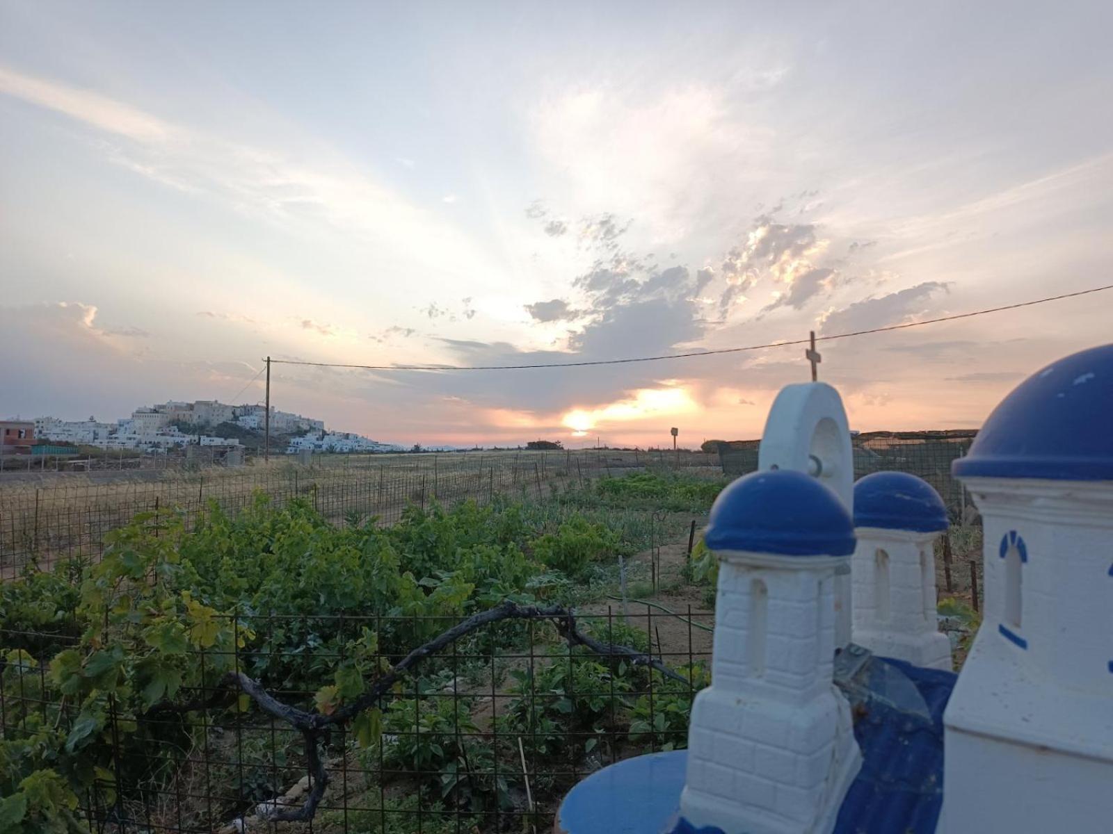 הוילה Naxos City Ktima Dimitrios מראה חיצוני תמונה