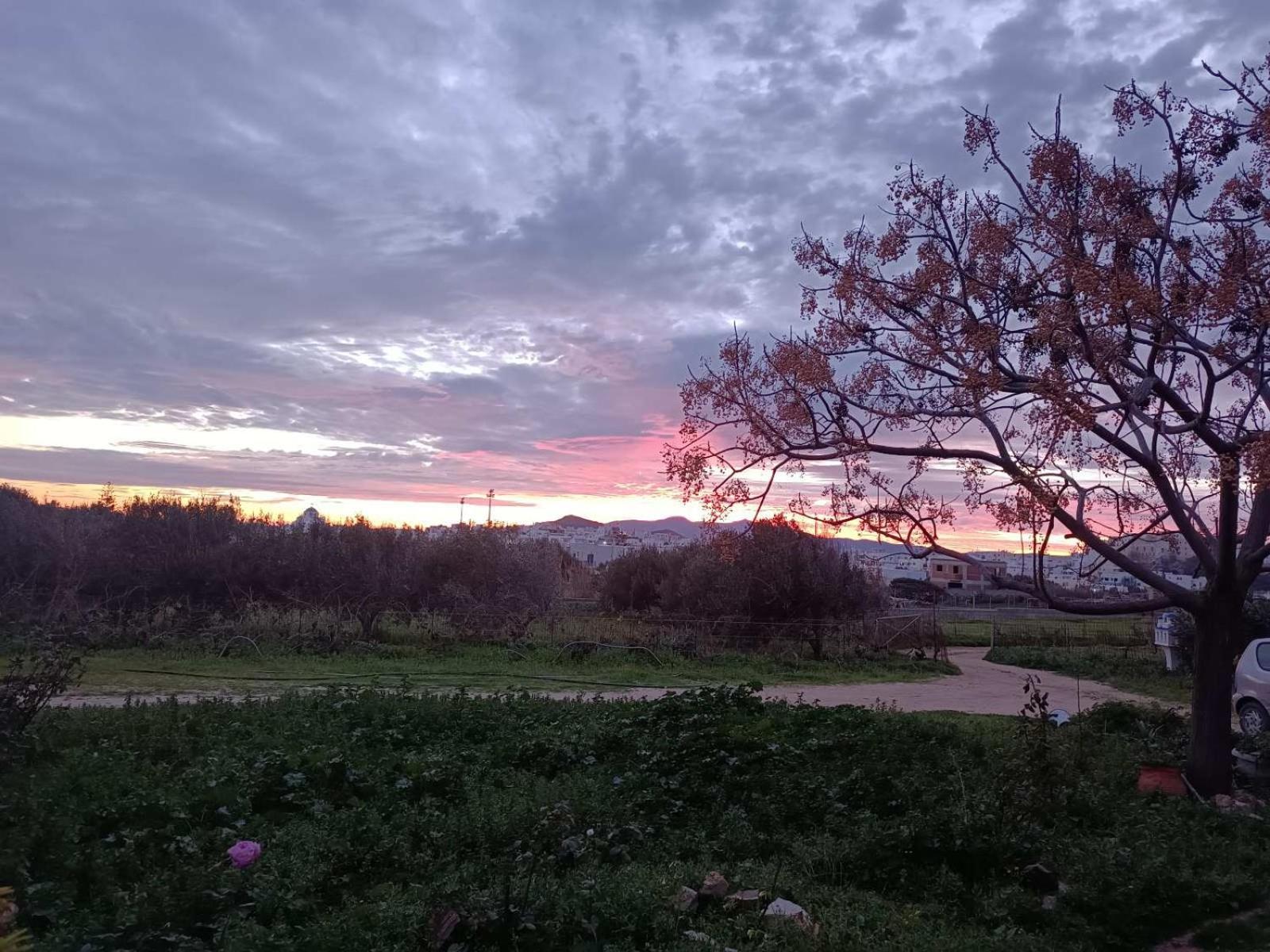 הוילה Naxos City Ktima Dimitrios מראה חיצוני תמונה